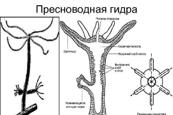 Bs gl ссылка blacksprut blacksprut wiki