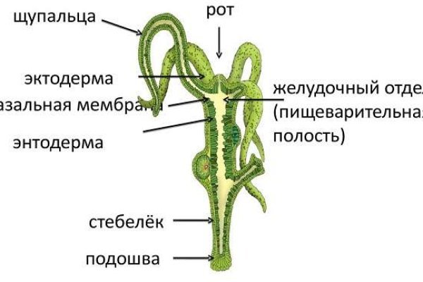 Ссылка на сайт оригинальная сайт блэк спрут